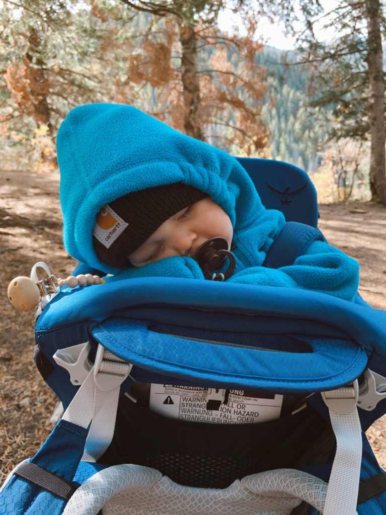 Hailey's Baby asleep in the Osprey Poco Plus with a mountainous background