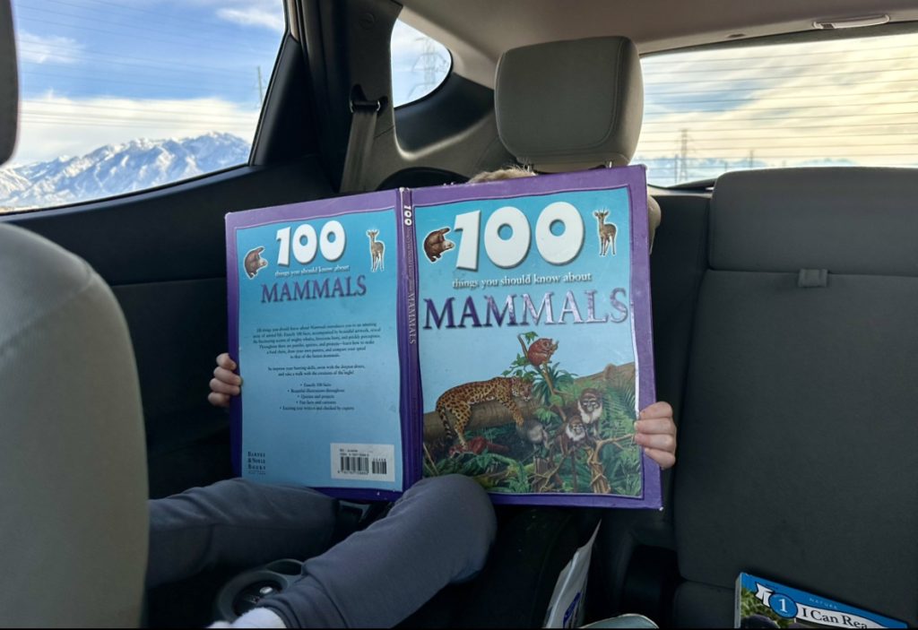 toddler reading a book on a road trip