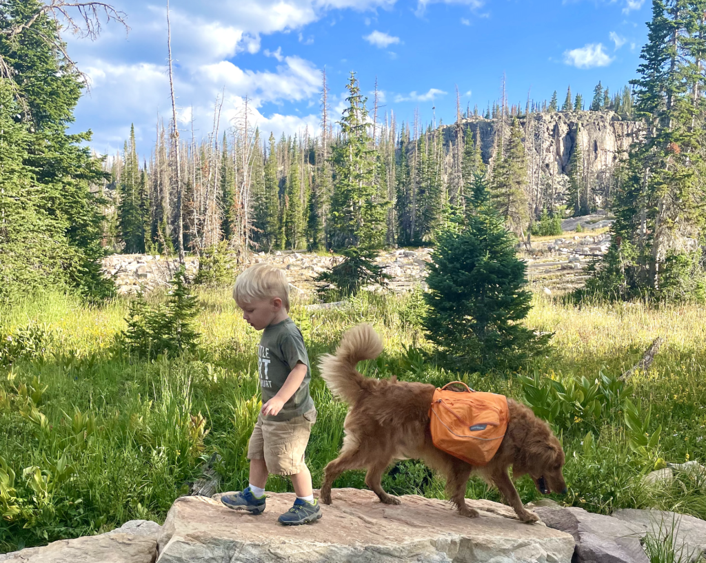 Toddler hiking with a dog in the mountains