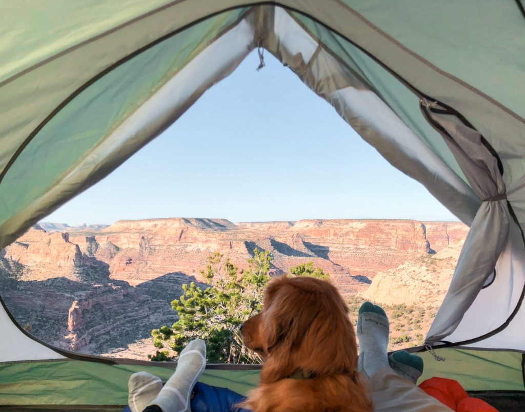 backpacking with a dog in the desert
