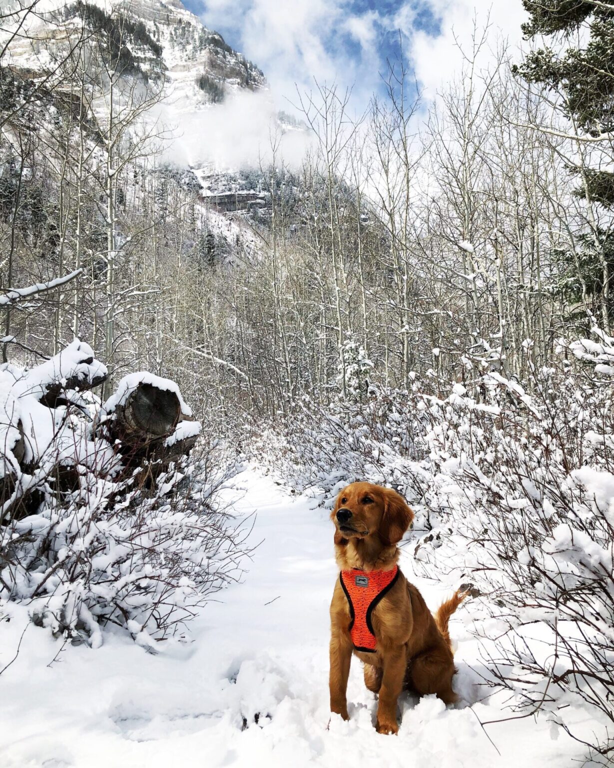 Stewart Falls Hike, Utah Ultimate Guide - Hailey Outside