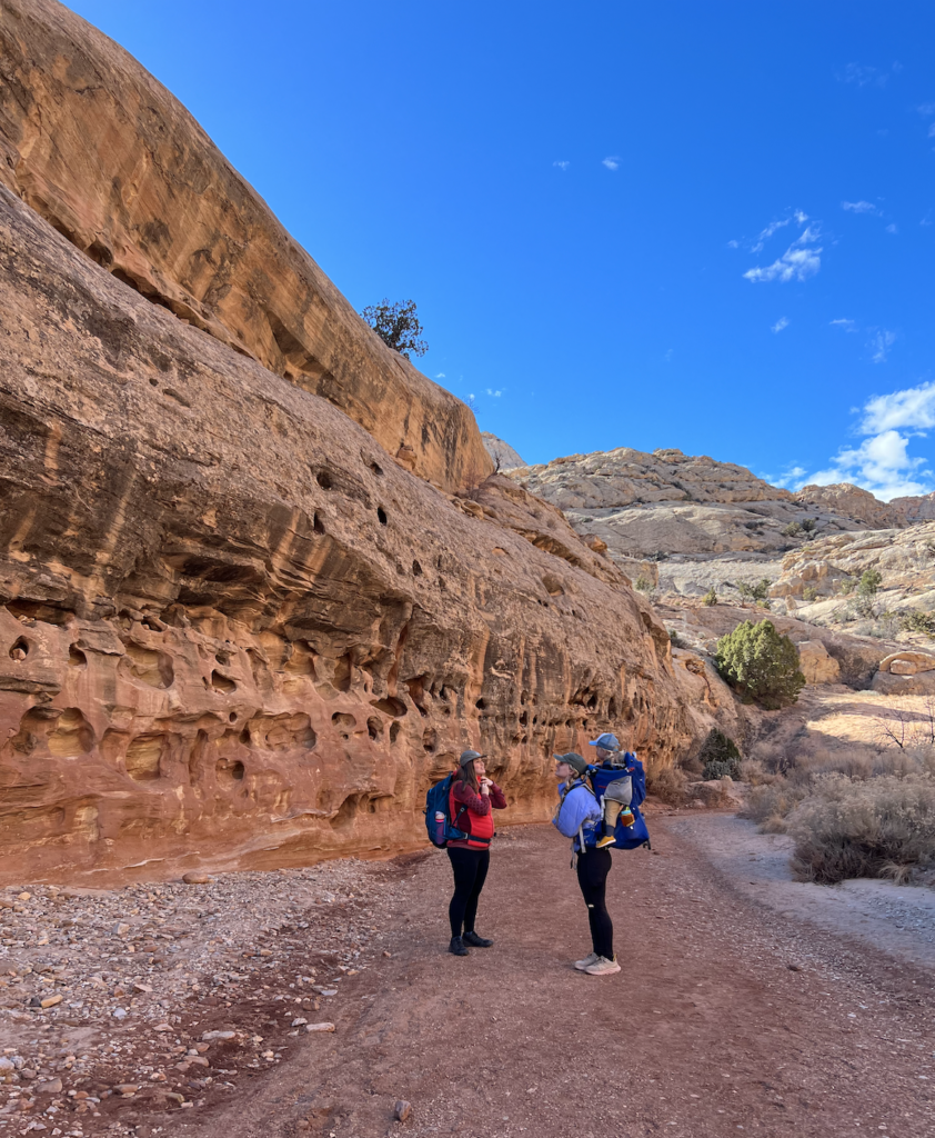 5 best Capitol Reef Hikes grand wash trail