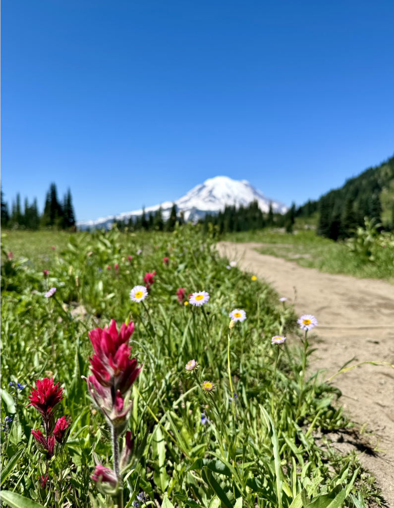 Best hikes near Seattle Naches Peak Loop Trail