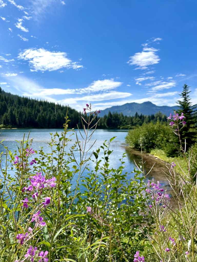 Best hikes near Seattle Gold Creek Pond