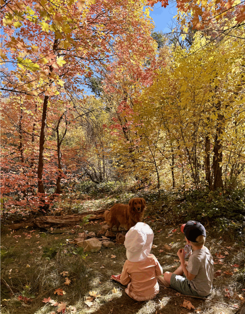 best hikes in Utah provo